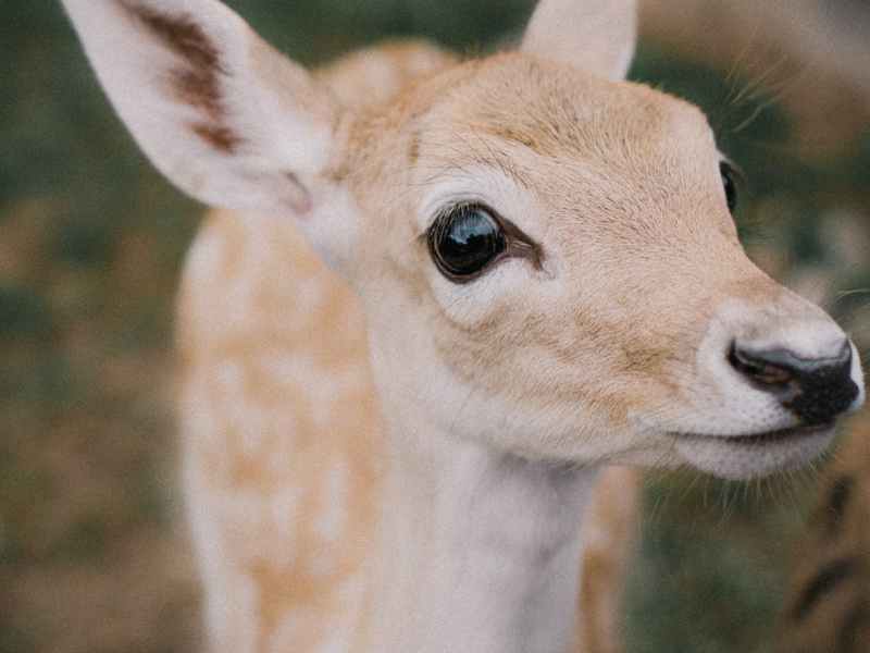 On Gentleness and&nbsp;Routine.